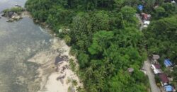 Beachfront Lot for Sale in Consuelo, Cantilan, Surigao del Sur — Ideal for Resort Development