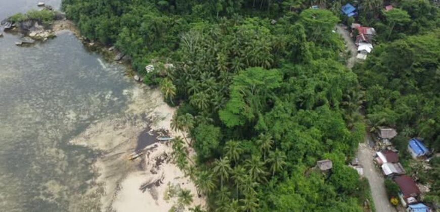 Beachfront Lot for Sale in Consuelo, Cantilan, Surigao del Sur — Ideal for Resort Development