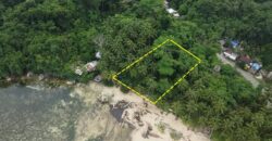 Beachfront Lot for Sale in Consuelo, Cantilan, Surigao del Sur — Ideal for Resort Development