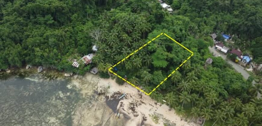 Beachfront Lot for Sale in Consuelo, Cantilan, Surigao del Sur — Ideal for Resort Development