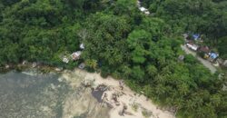 Beachfront Lot for Sale in Consuelo, Cantilan, Surigao del Sur — Ideal for Resort Development