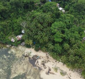 Beachfront Lot for Sale in Consuelo, Cantilan, Surigao del Sur — Ideal for Resort Development