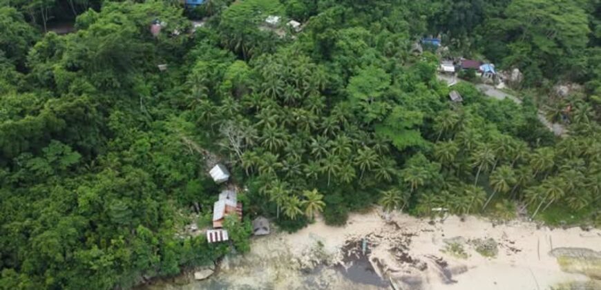 Beachfront Lot for Sale in Consuelo, Cantilan, Surigao del Sur — Ideal for Resort Development